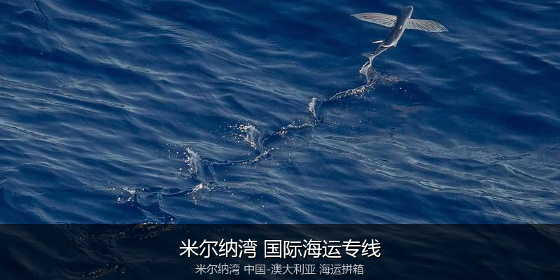 澳大利亚海运专线时效对比与选择指南